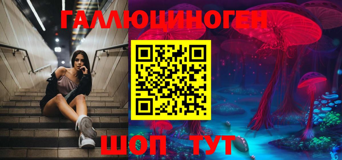 Псилоцибиновые грибы мицелий  Вход с VPN  Кисловодск 